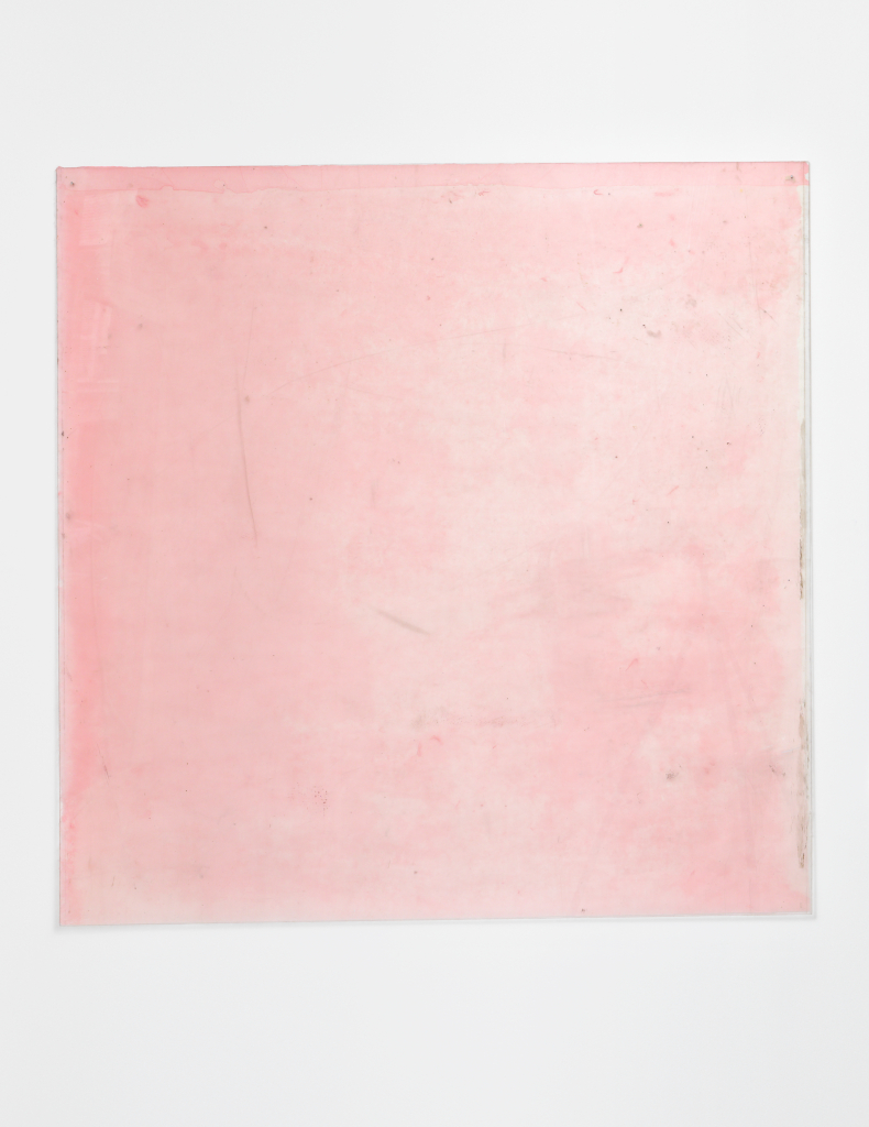 Library house, pink, 2026