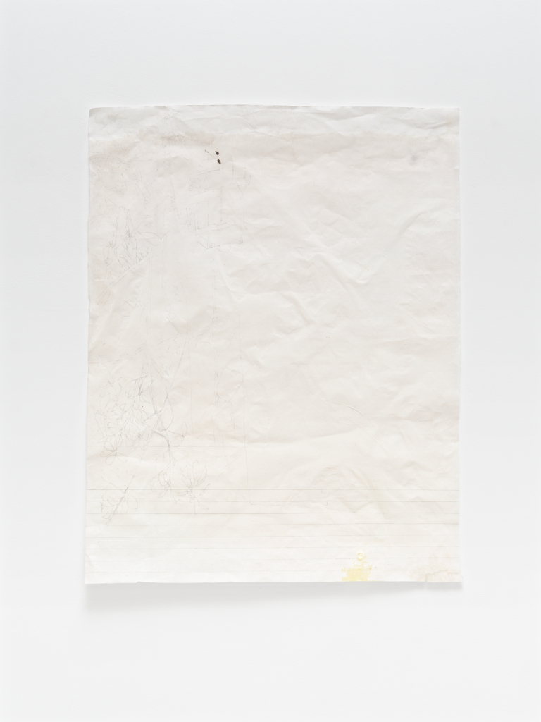 Library house, score [botanic], 2026