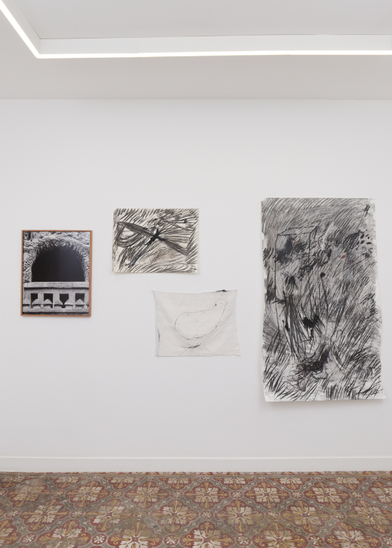 Un oiseau passe. Je le suis