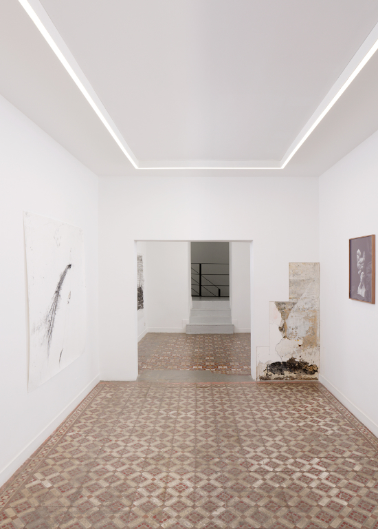 Un oiseau passe. Je le suis