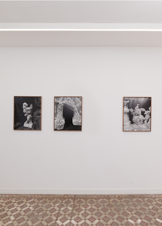 Un oiseau passe. Je le suis