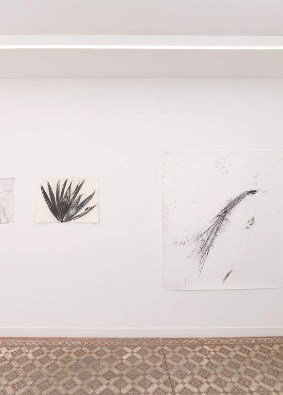 Un oiseau passe. Je le suis