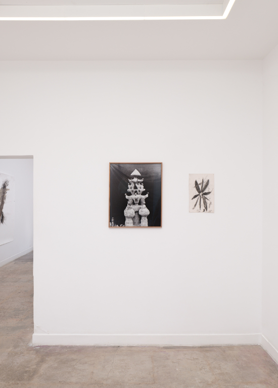 Un oiseau passe. Je le suis