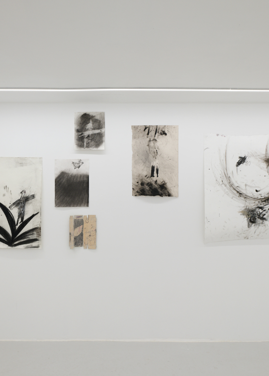 Un oiseau passe. Je le suis