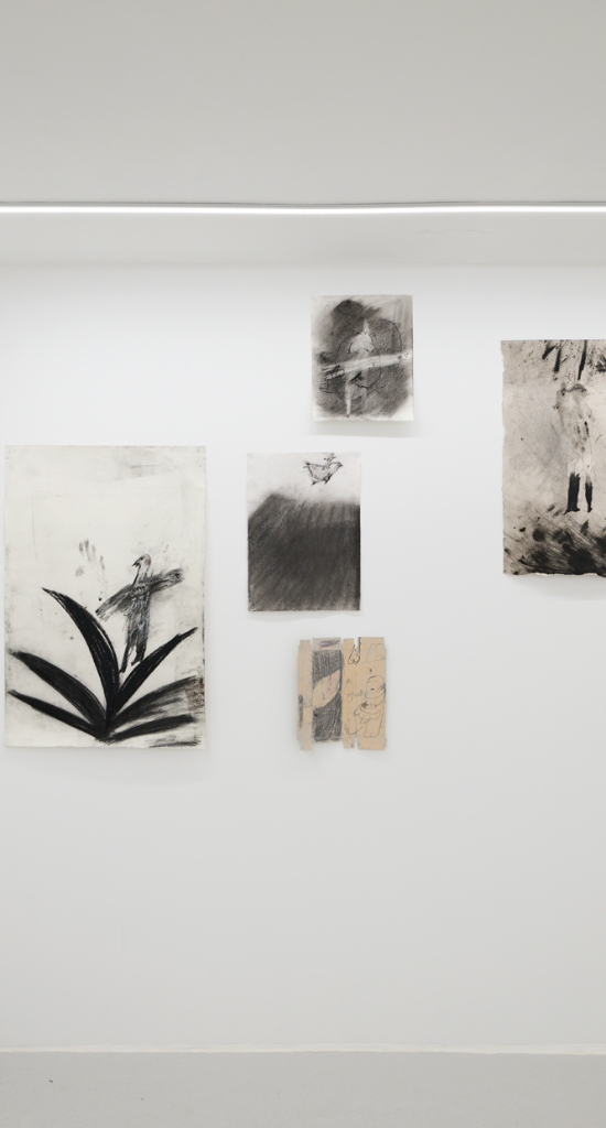 Un oiseau passe. Je le suis