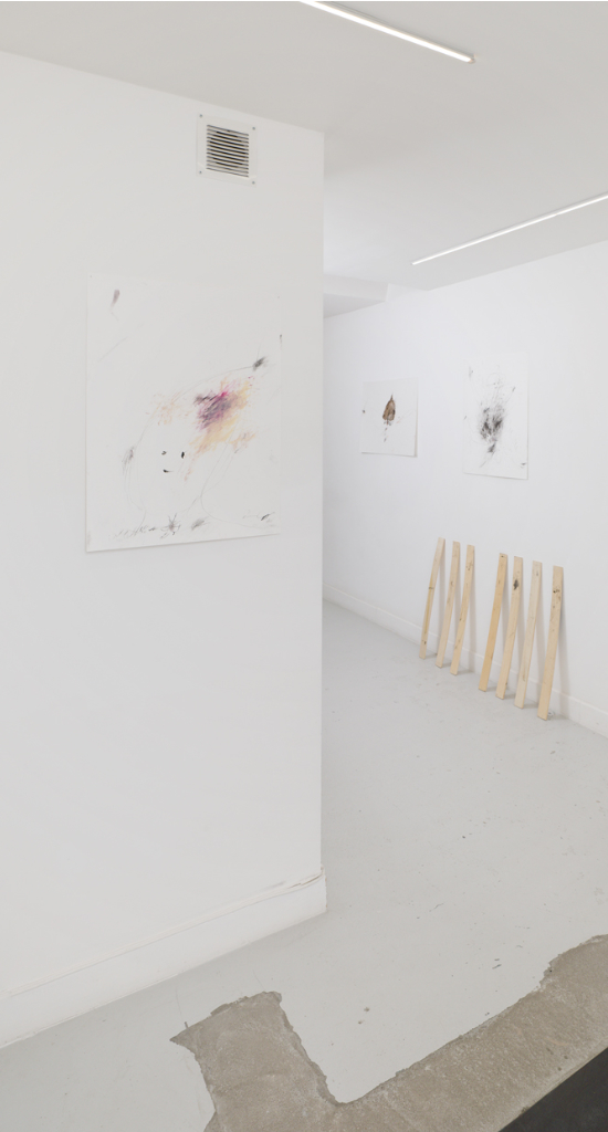 Un oiseau passe. Je le suis