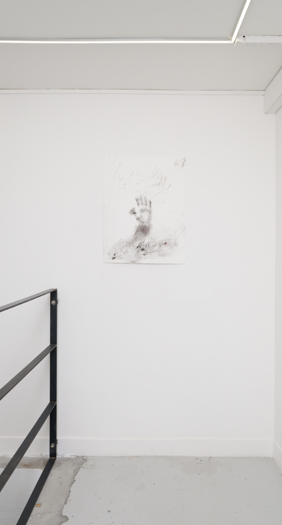 Un oiseau passe. Je le suis